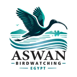 Contact Aswan Birdwatching