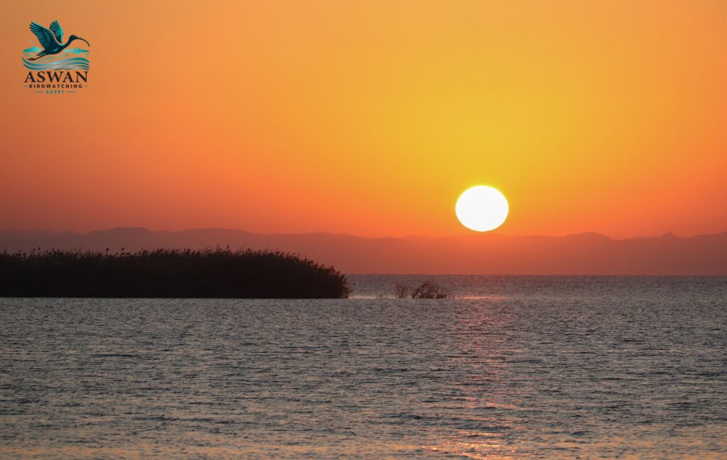 Lake Nasser sunset