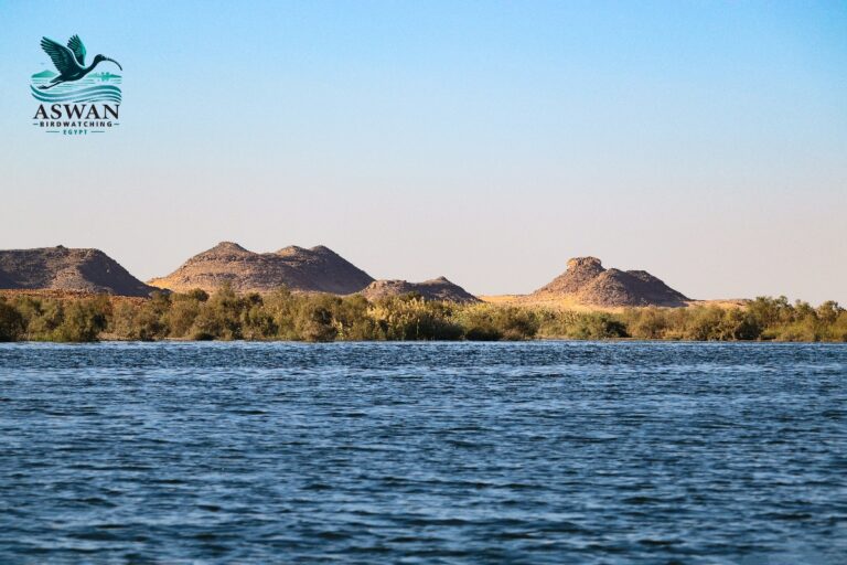 Lake Nasser