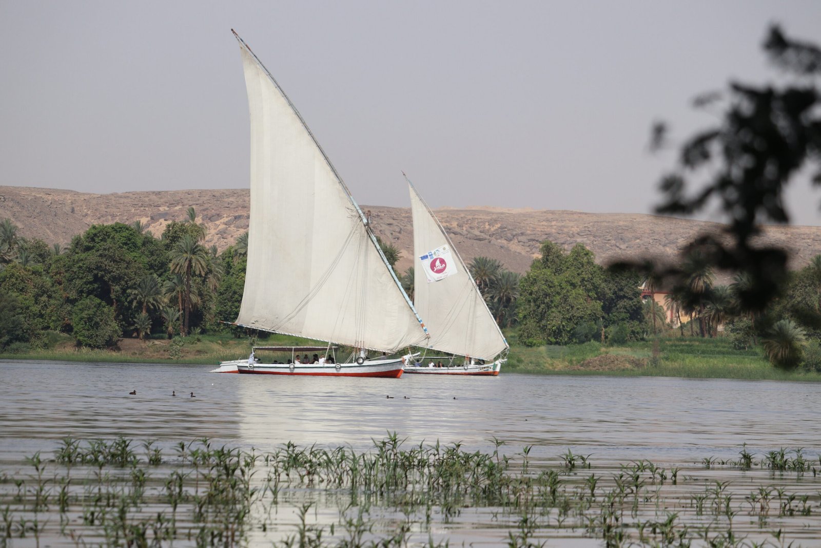 aswan
