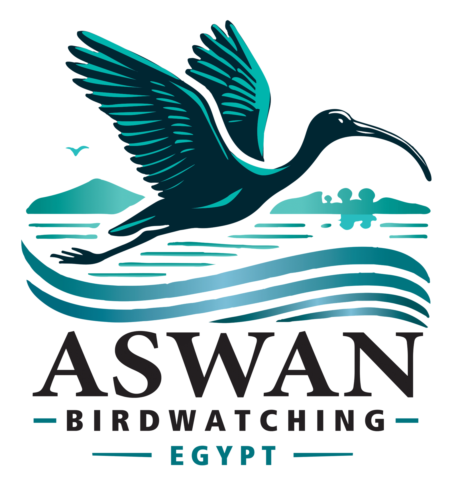 aswan birdwatching