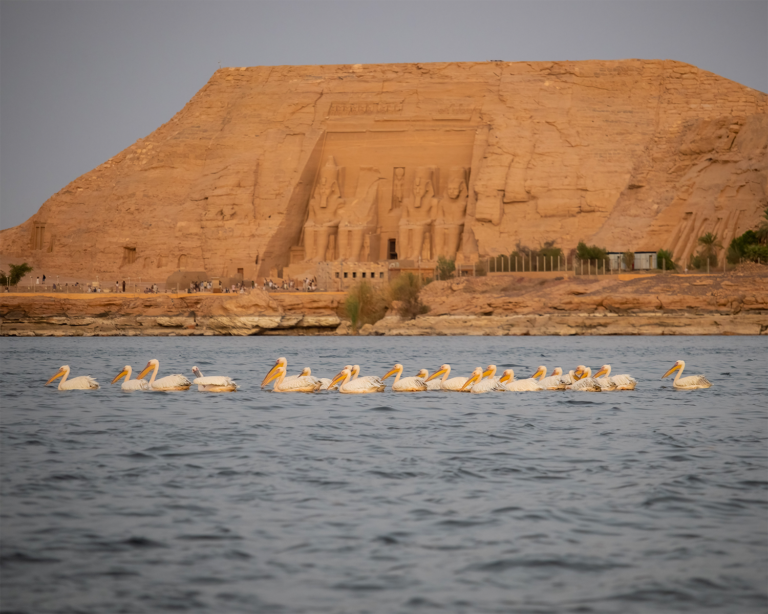 lake nasser