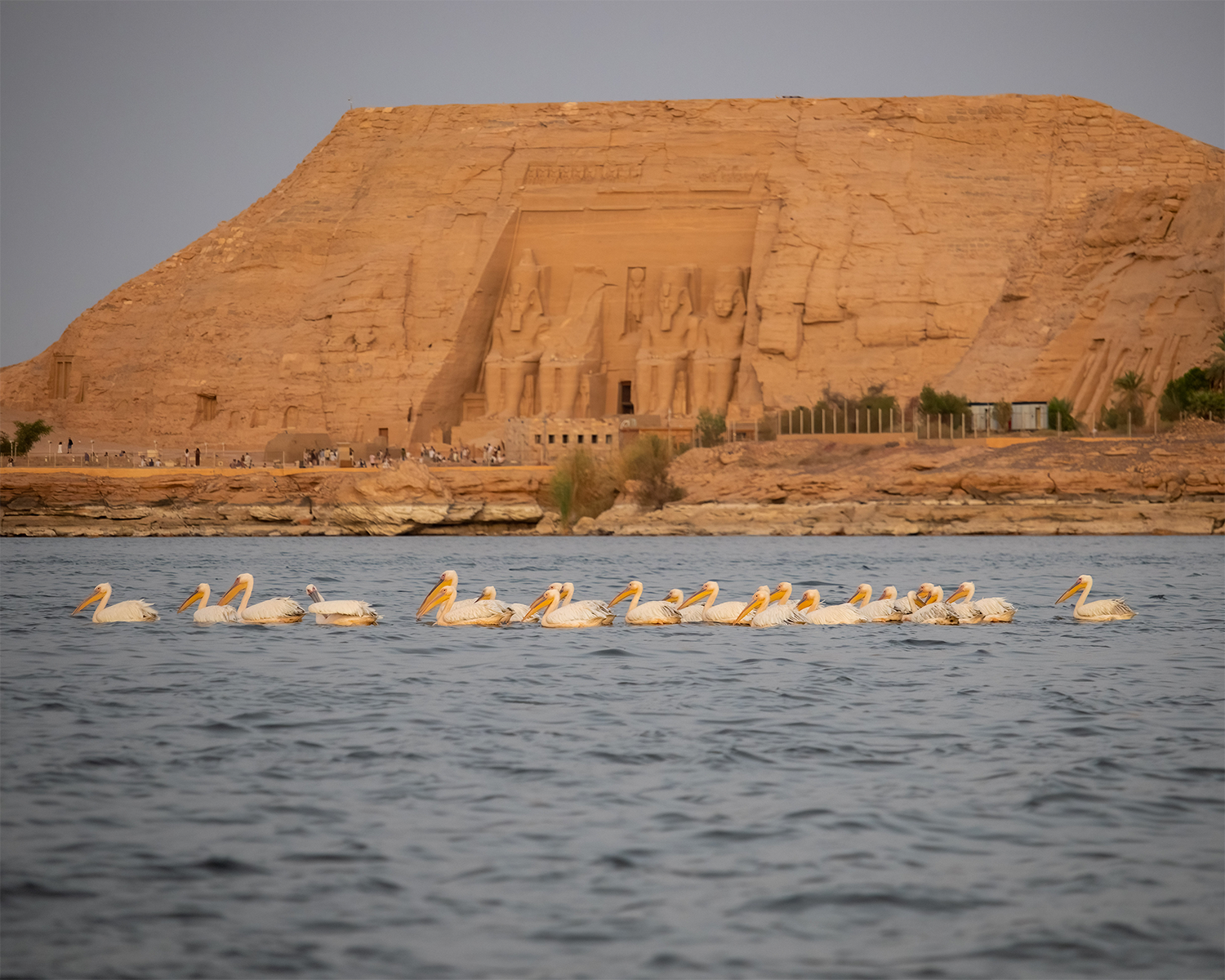 lake nasser