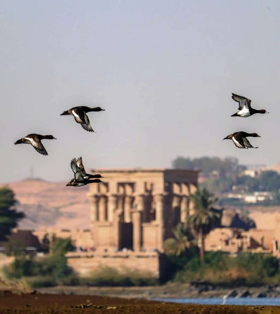 lake philae