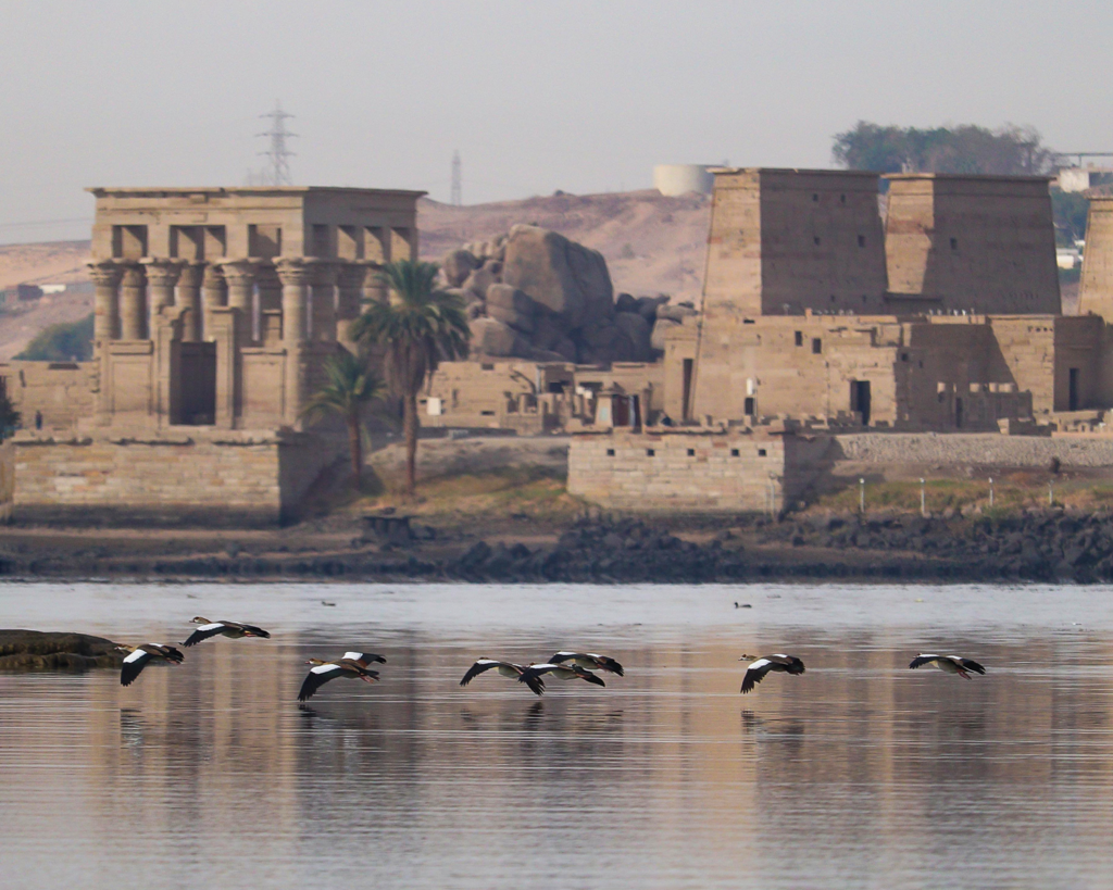 lake philae
