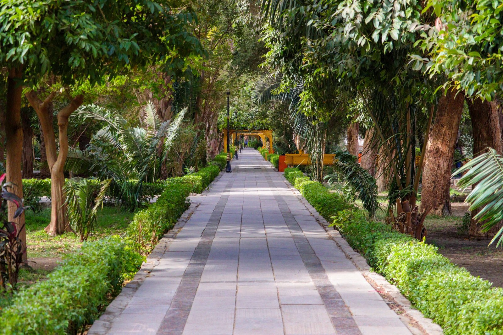 Botanical Garden