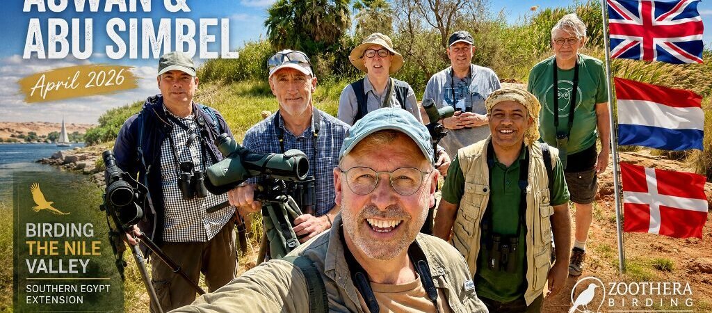 Trip Report: Guiding Zoothera Birding Group (Aswan and Abu Simbel)