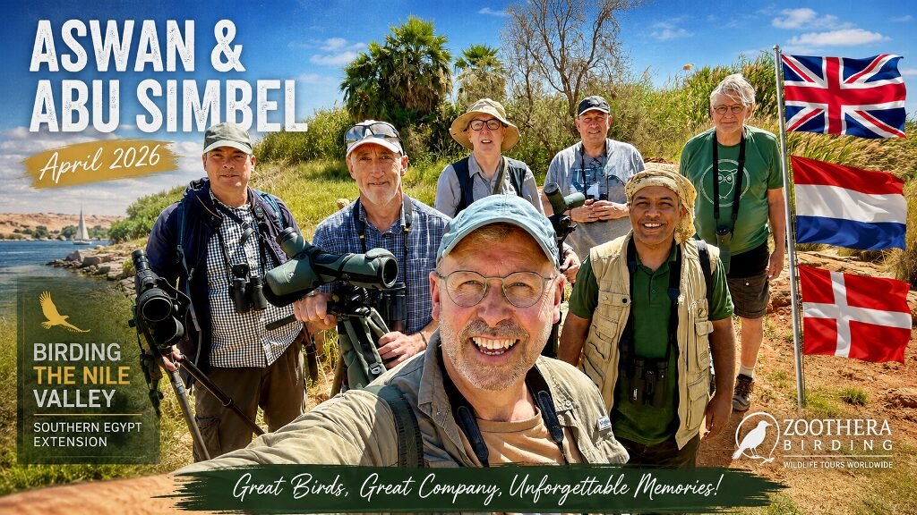 Trip Report: Guiding Zoothera Birding Group (Aswan and Abu Simbel)