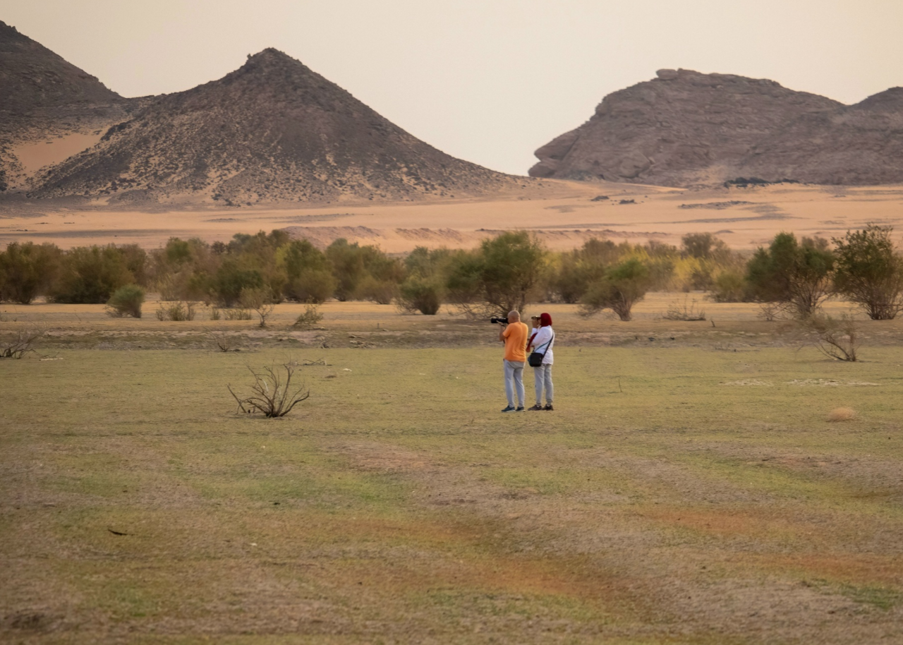 Lake Nasser
