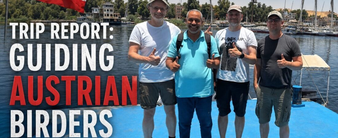 Trip Report: Guiding Austrian Birders Through the Nile and Lake Nasser