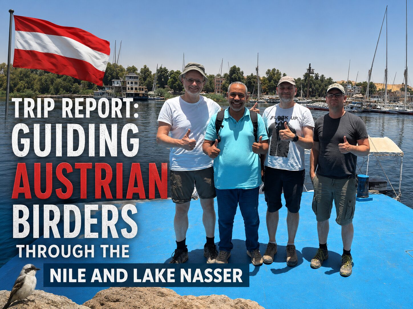 Trip Report: Guiding Austrian Birders Through the Nile and Lake Nasser