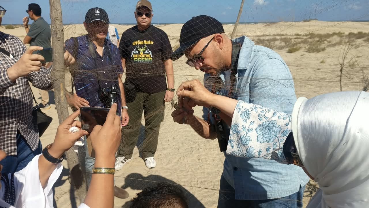 illegal bird killing
